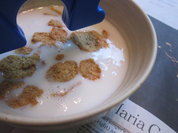 Magnetic Cereal (3)