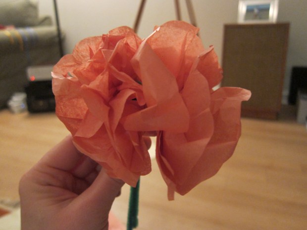 LP Celebrations (11)