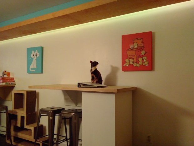 Meow Parlor (7)