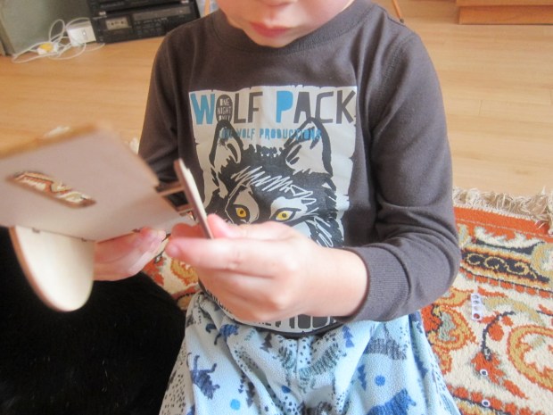 koala playground (4)