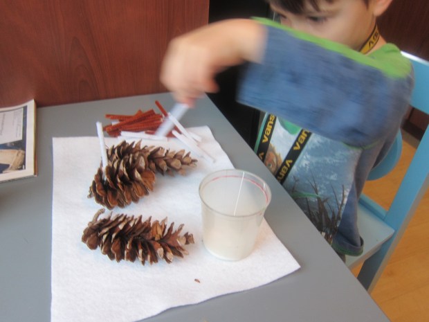 Pinecone Hedgehog (2)