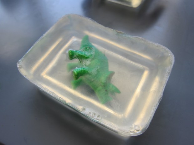 Dino Soap (8)