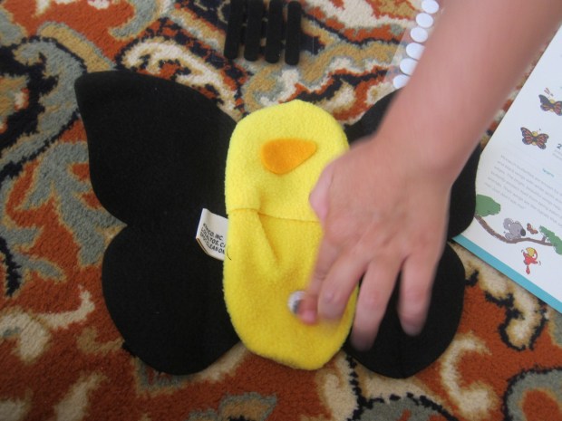 koala rainforest (1)