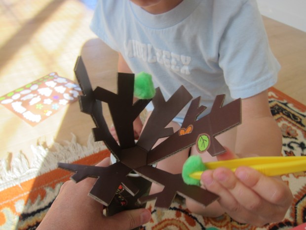 koala rainforest (10)