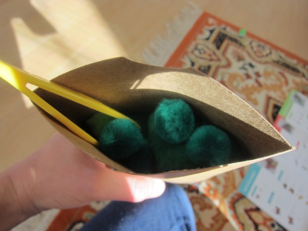 koala rainforest (11)