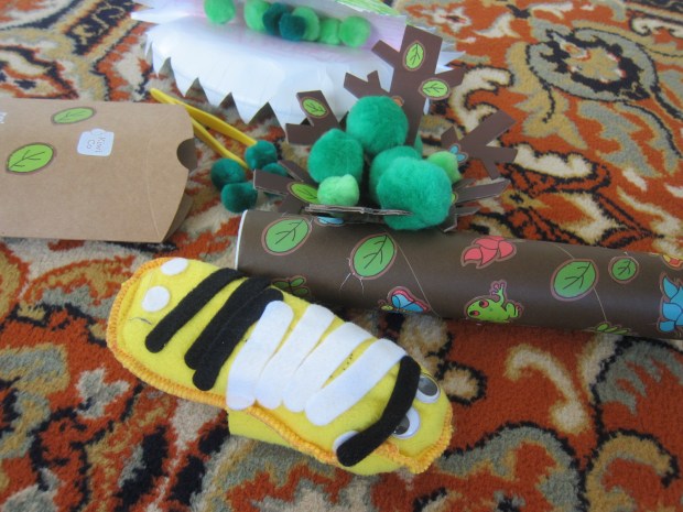 koala rainforest (14)