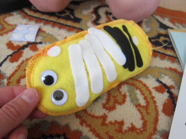 koala rainforest (2)