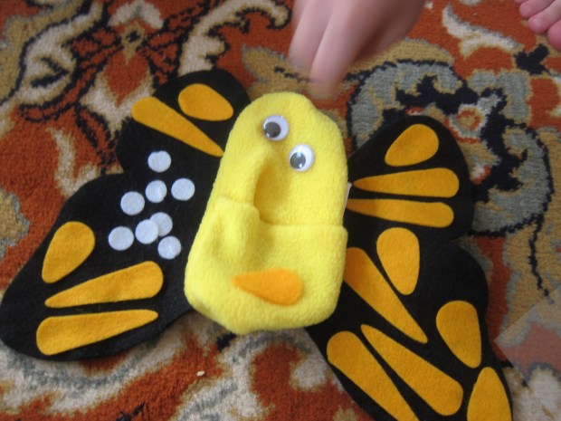 koala rainforest (5)