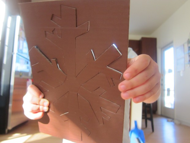 koala rainforest (8)