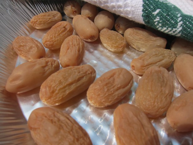 Grapes to Raisins (5).JPG