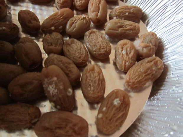 Grapes to Raisins (6)