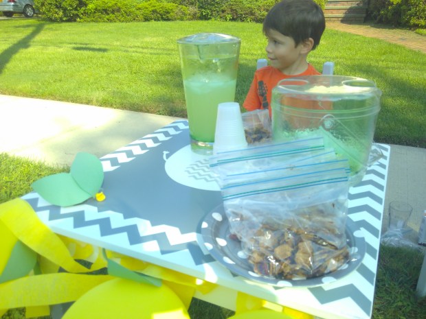 Lemonade Stand (8)