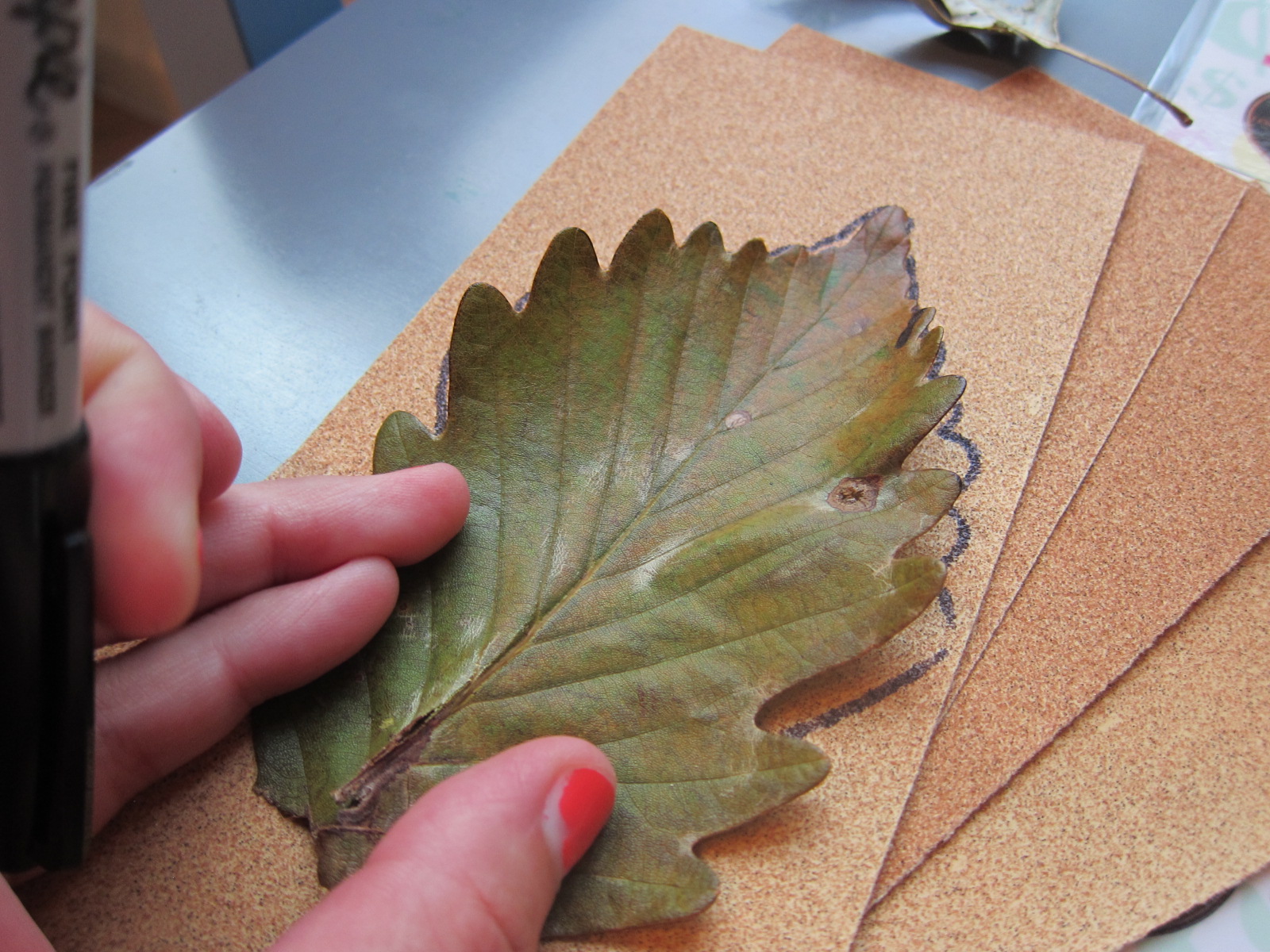Sandpaper Leaves (1)