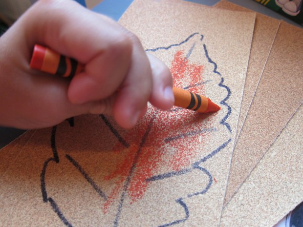 Sandpaper Leaves (2)