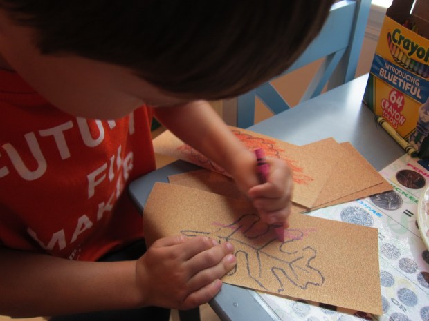 Sandpaper Leaves (3)