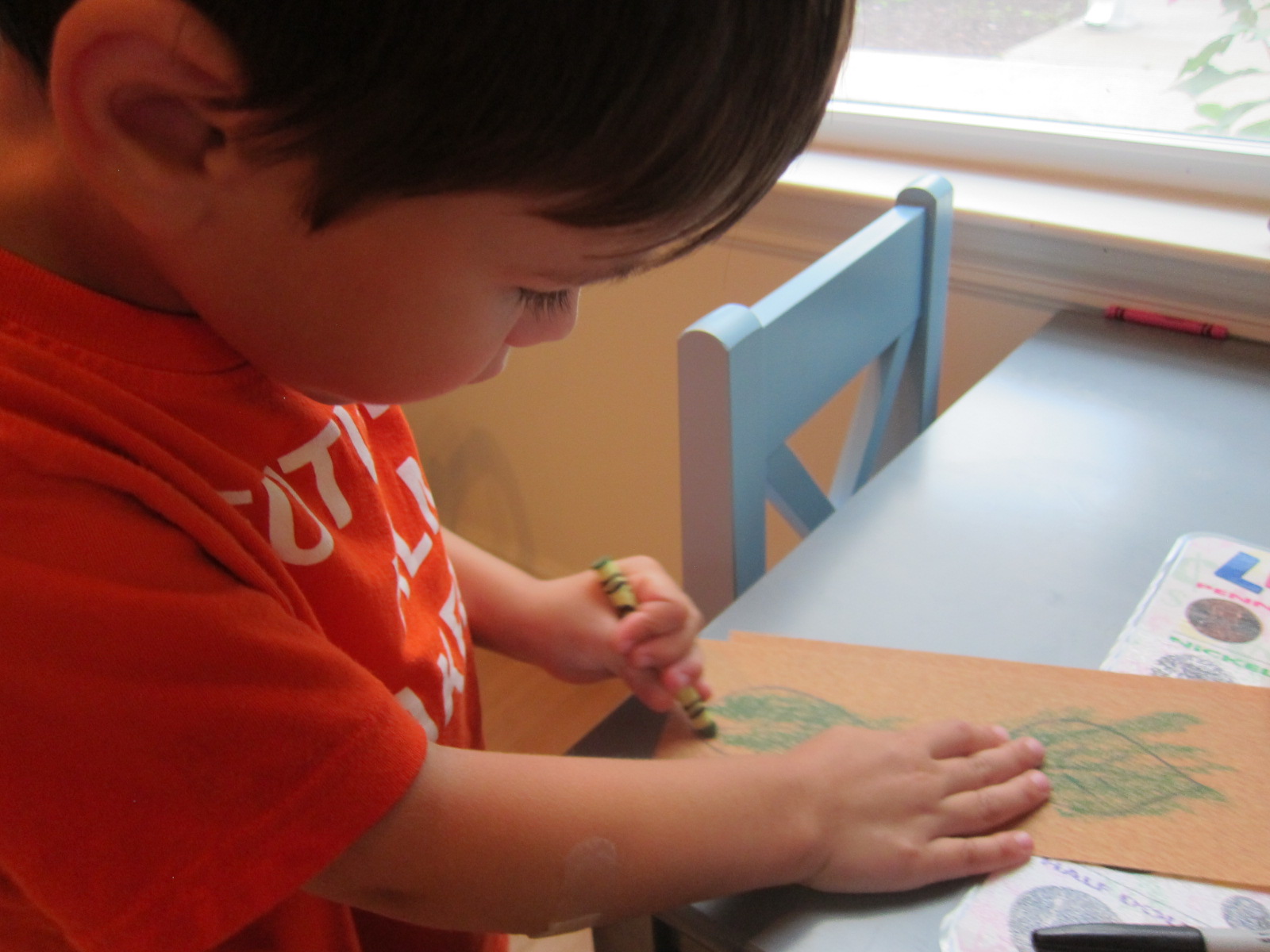 Sandpaper Leaves (5)