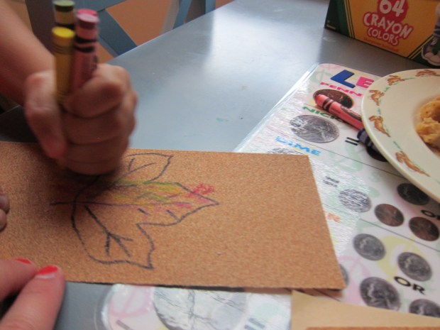 Sandpaper Leaves (6)