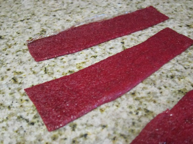Fruit Leather alt.JPG