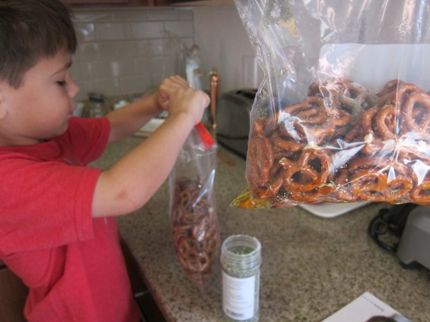 Seasoned Pretzel (4)