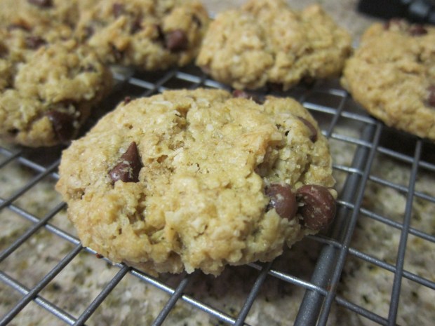 Oatmeal Coconut Cookies (1)