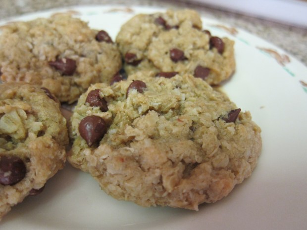 Oatmeal Coconut Cookies (2)