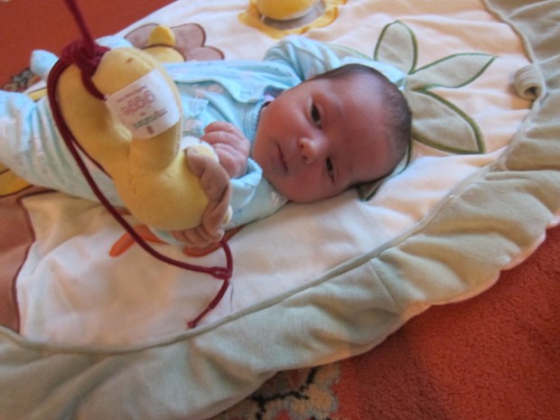 Baby Watch b (2).JPG