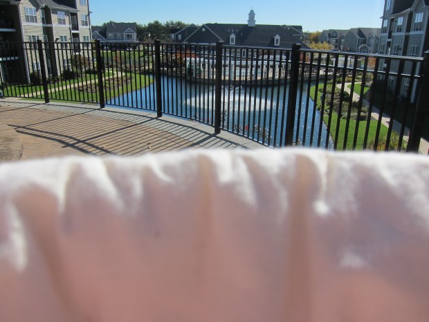 Walk Neighborhood (3)