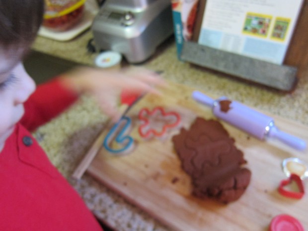 Cinnamon Ornaments (7)