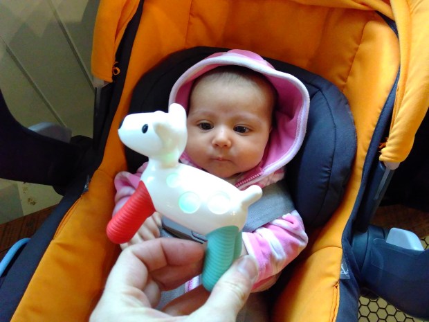 Instant Entertain var.jpg