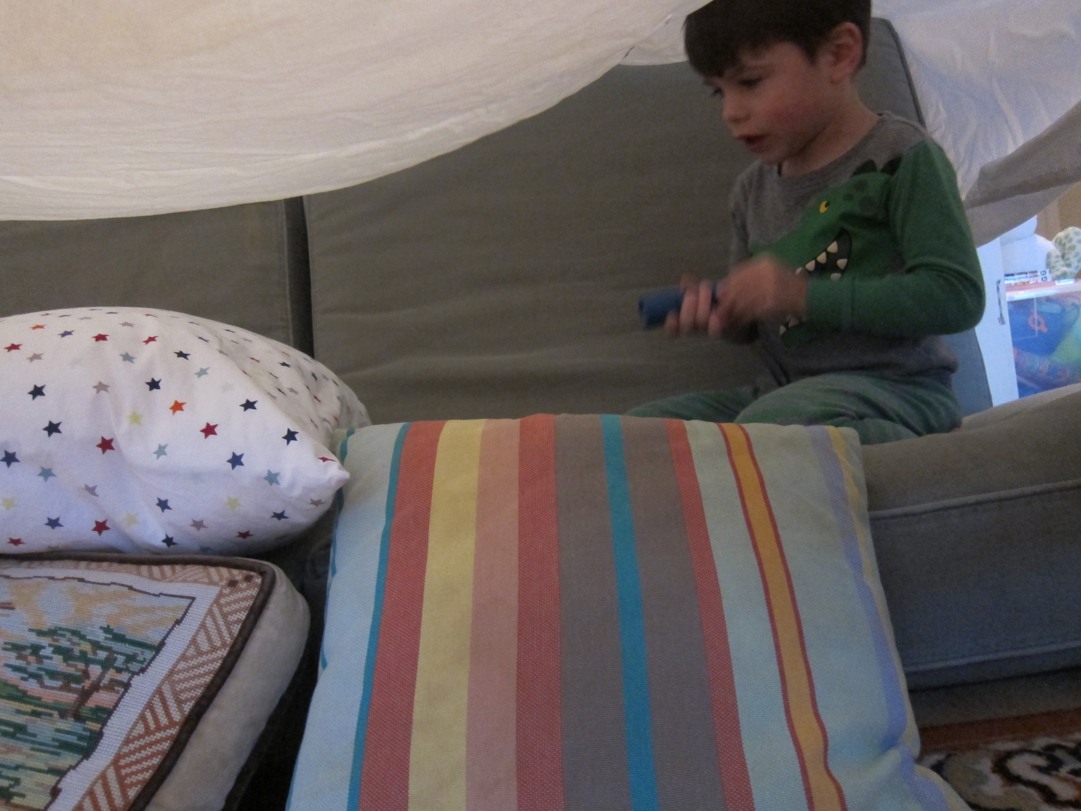 Movie Fort (2)