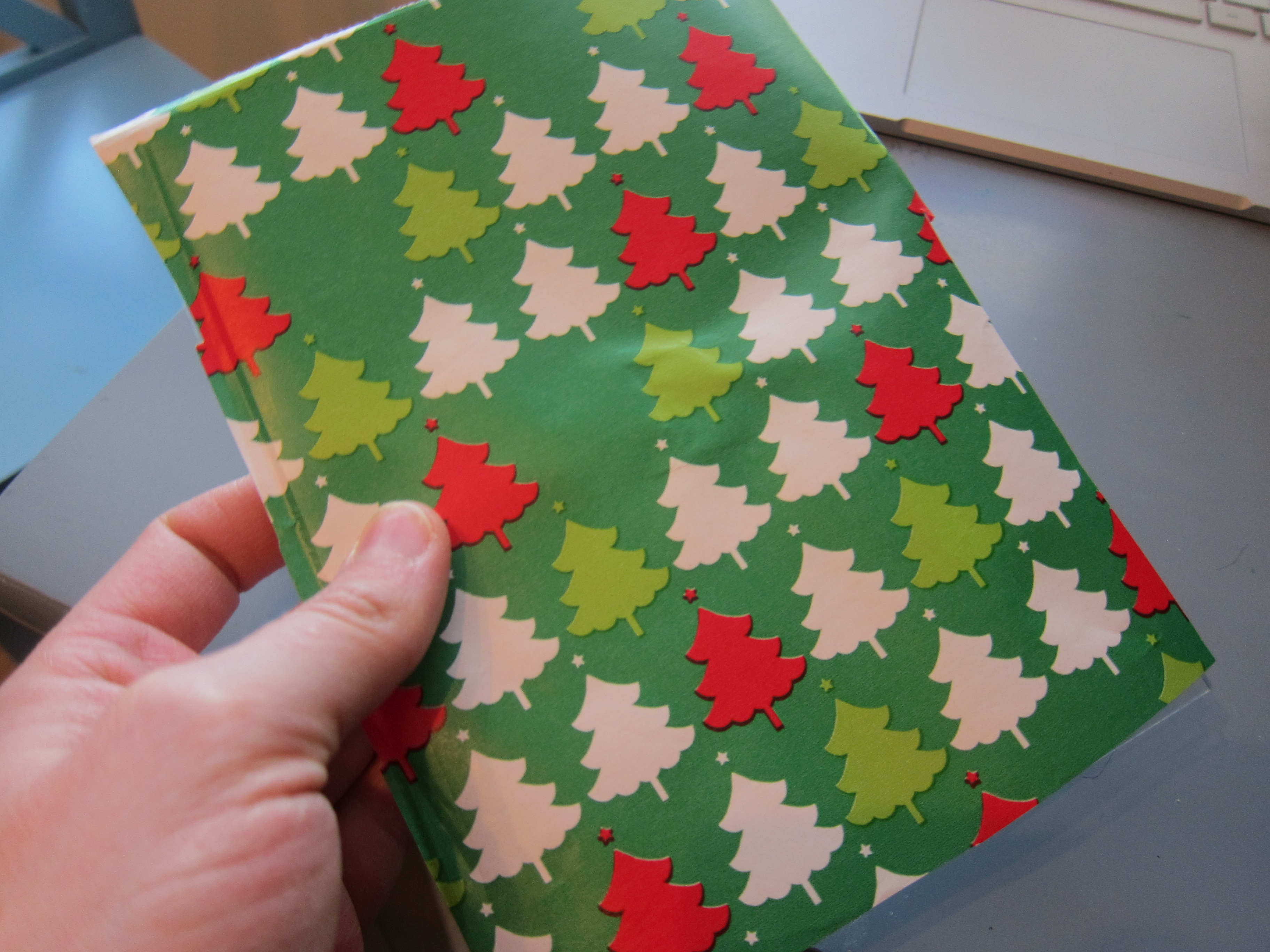 Picture Frame Winter (2)