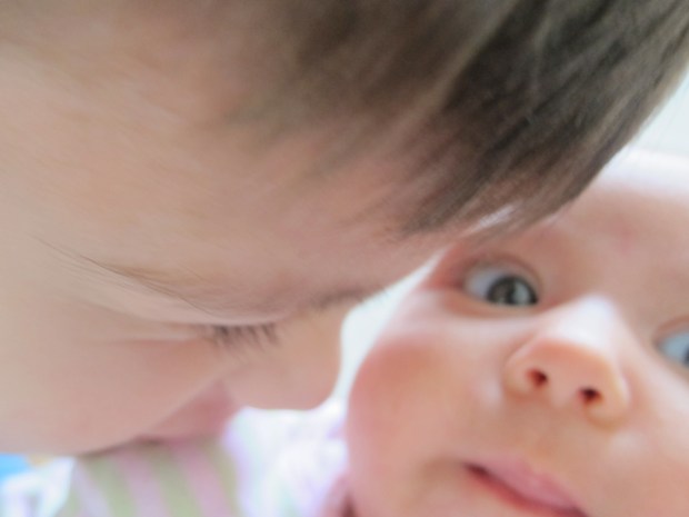 butterfly kisses (2)