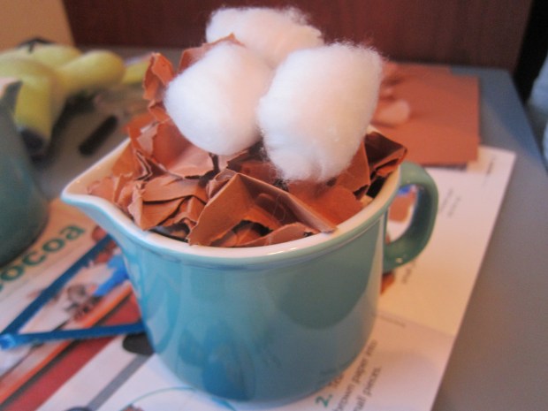 fake cocoa (6)