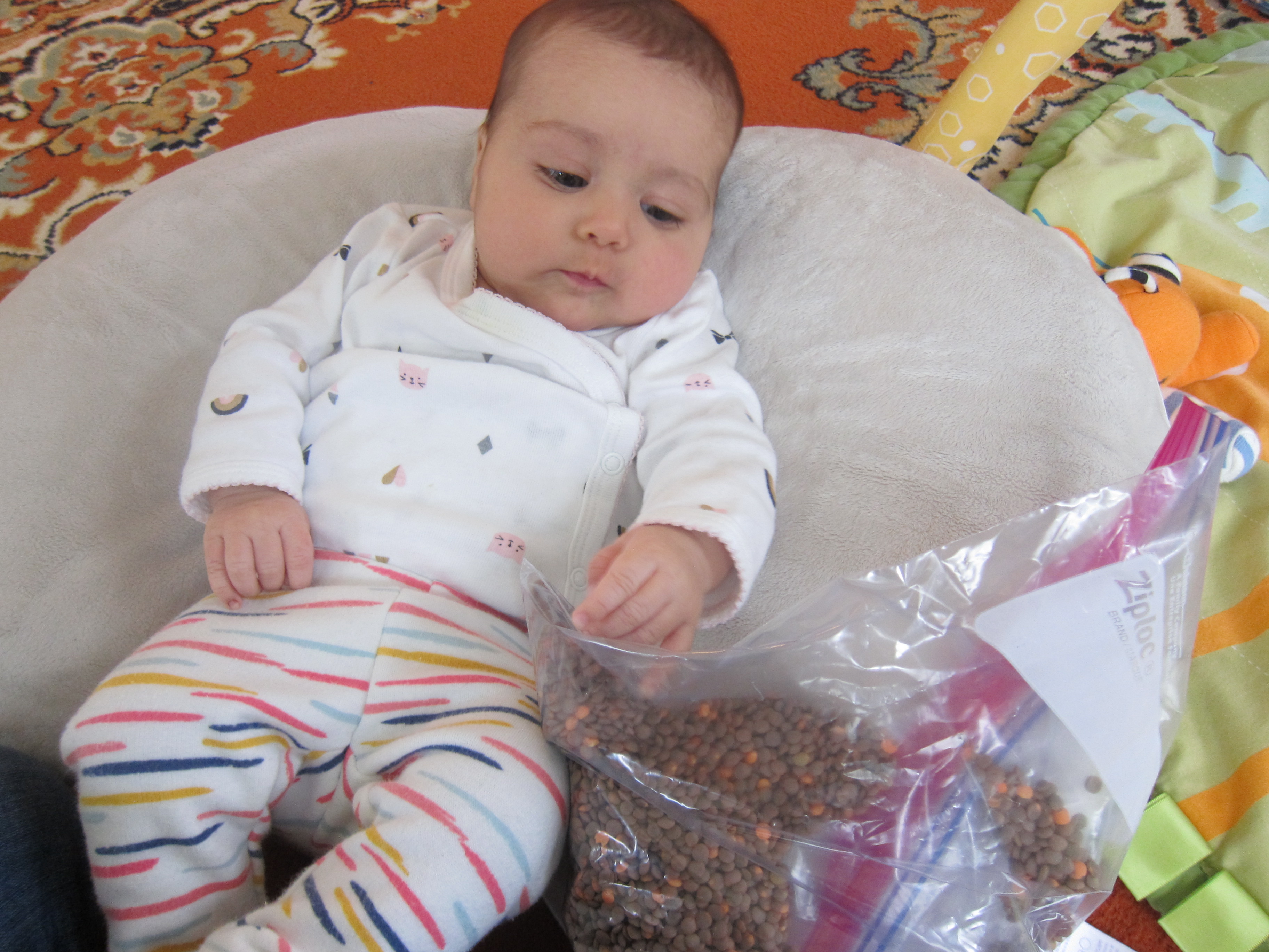 first instrument (2)