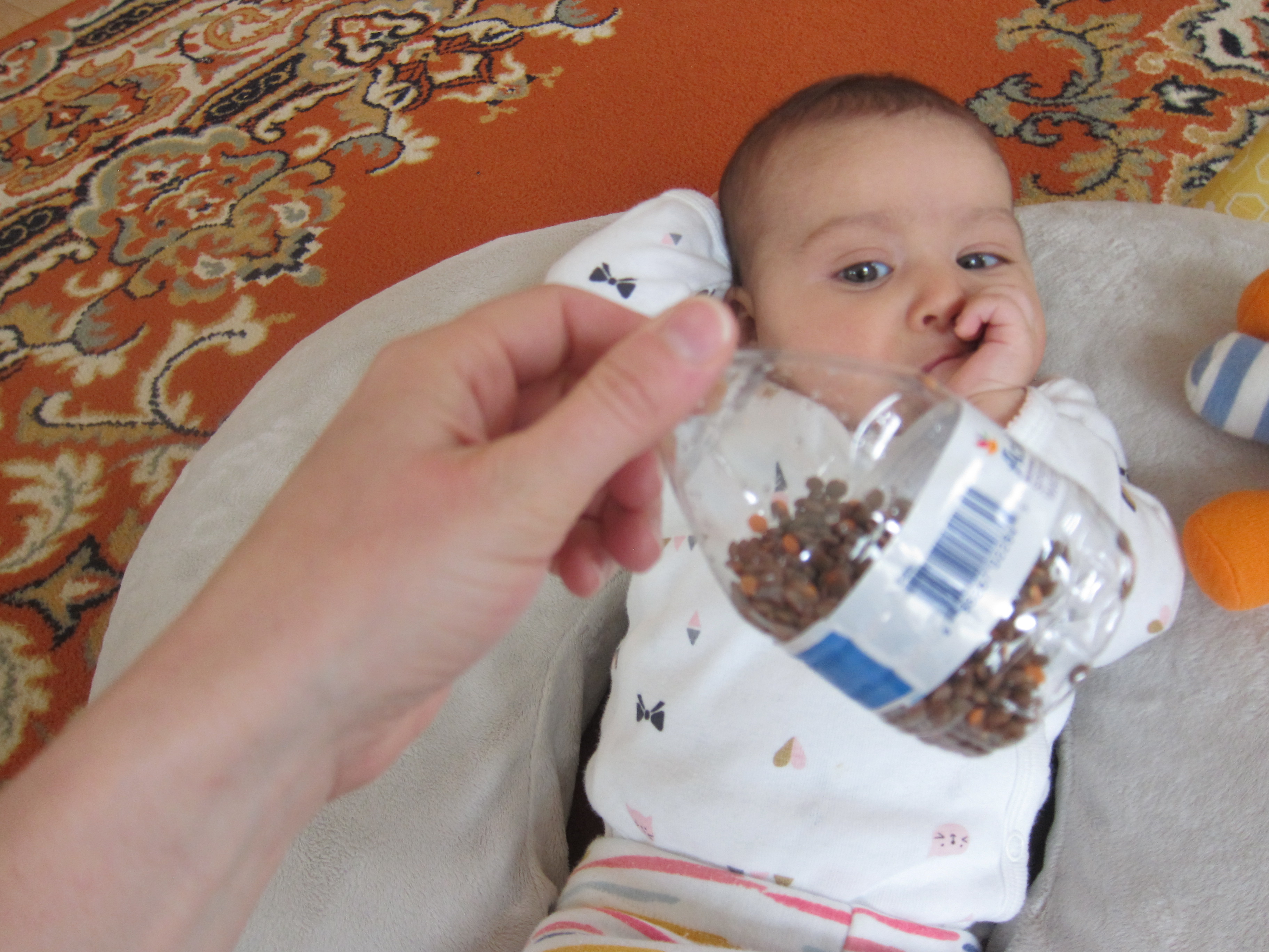 first instrument (3)