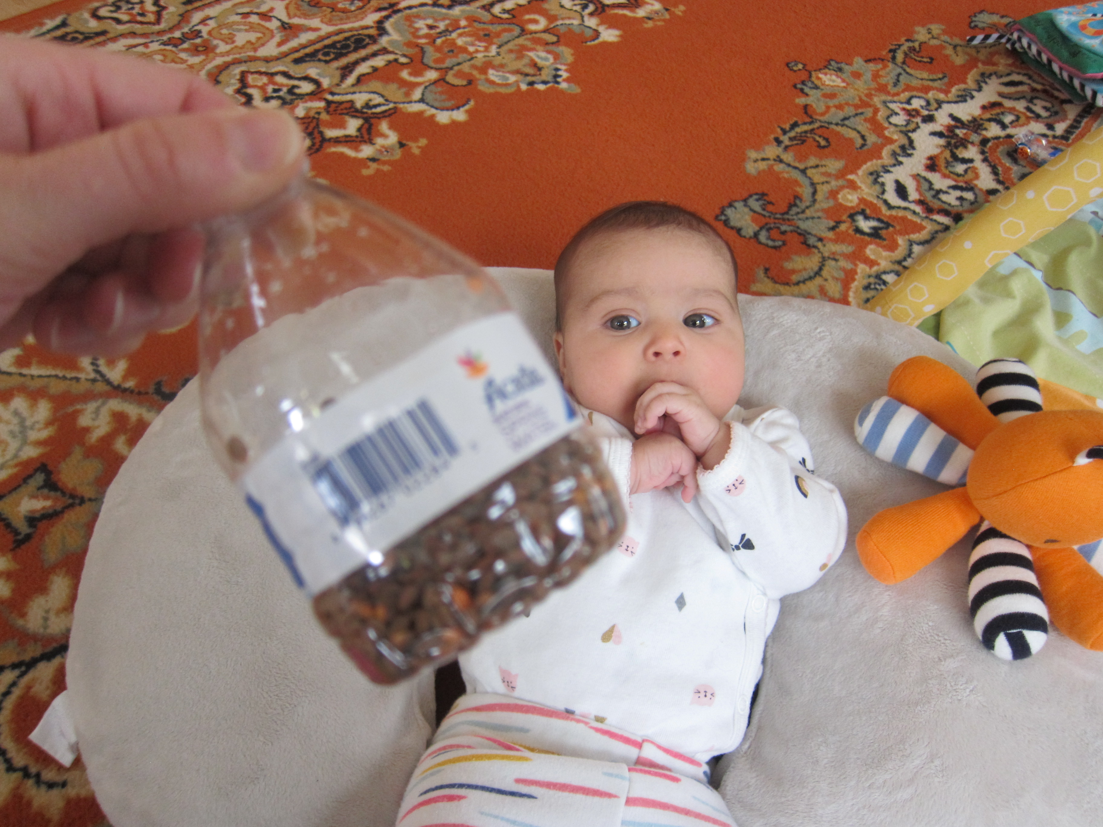 first instrument (4)