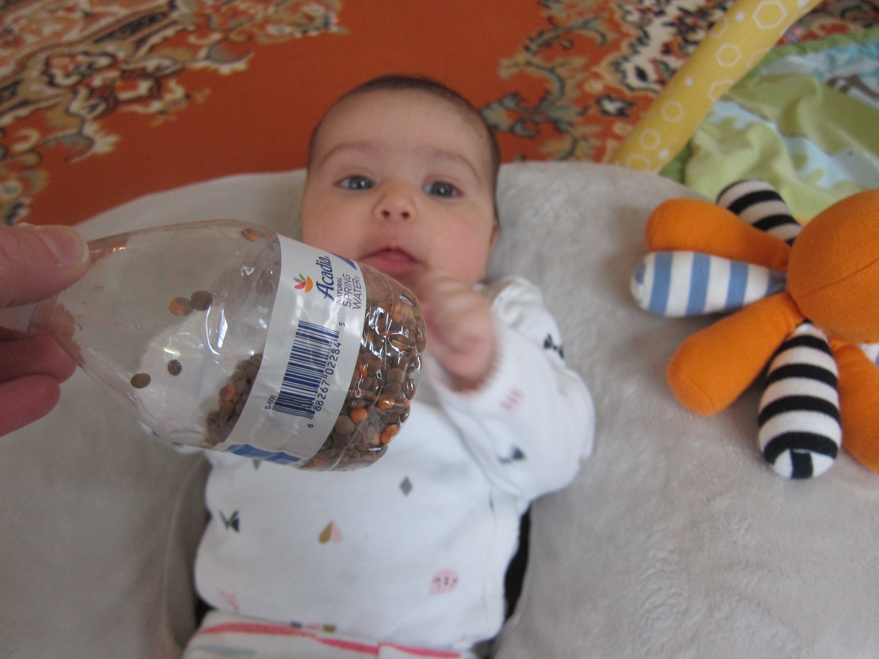 first instrument (5)