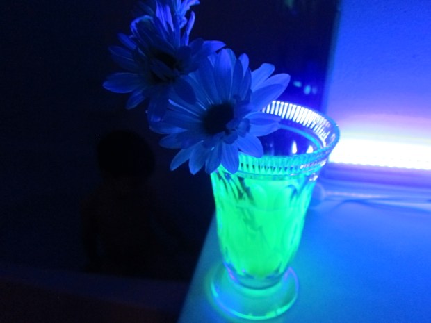glow flower (7)