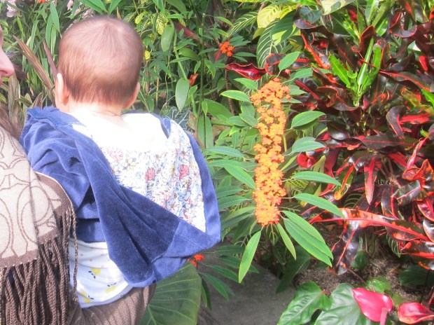 Up Down Walk (12).JPG