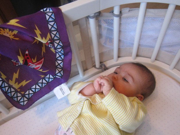 Visual Stimulation (10)