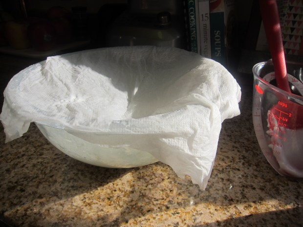 Baking Soda Ocean Art (4)