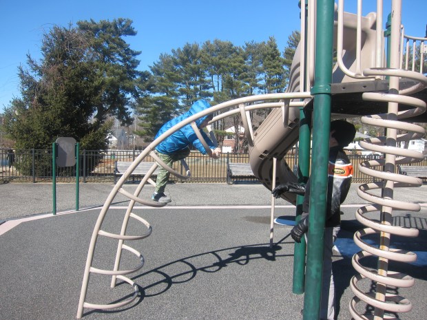 Family Traditions (8)