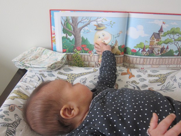 Humpty Dumpty (5).JPG