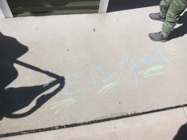 Agent of Kindness (5)