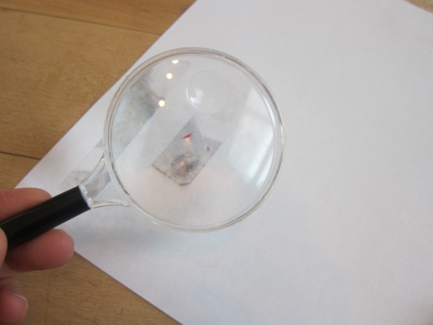 Fingerprint Kit (10).JPG