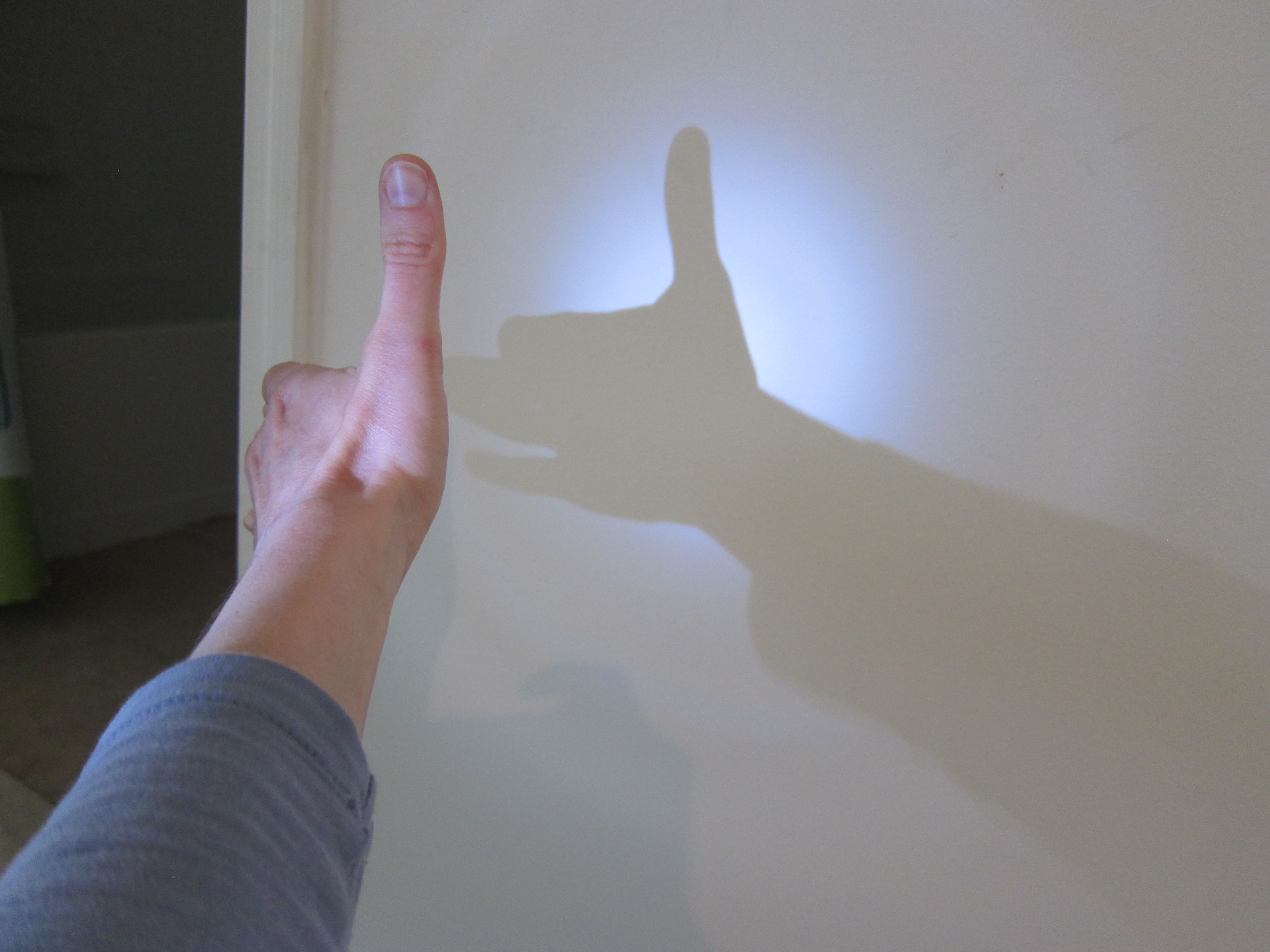 Shadow Show (5)
