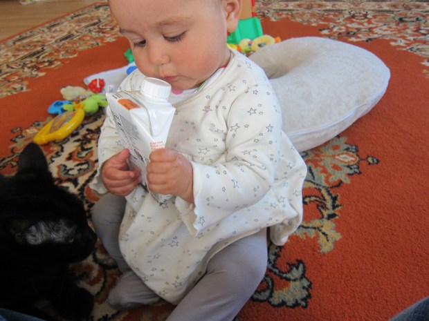 Breakfast Together (9)