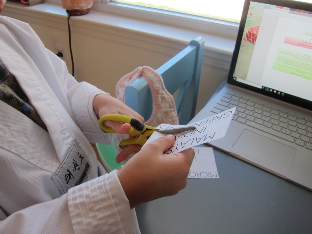 Thoughtful Travel (1)