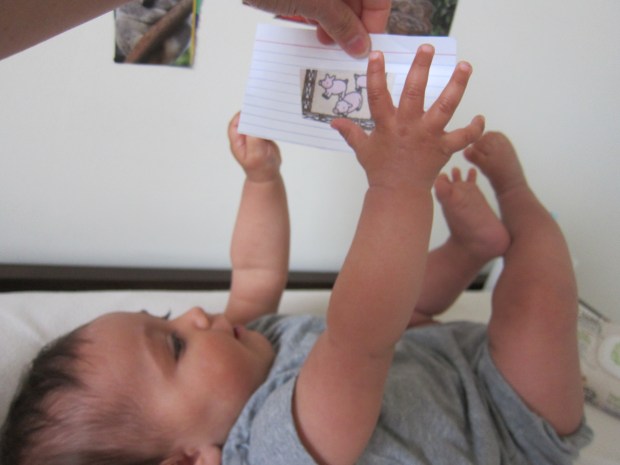 Animal Diaper Time (3)