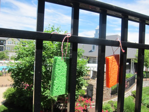 Butterfly Feeder (5)